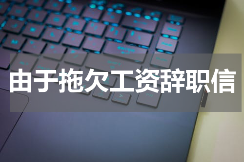 由于拖欠工资辞职信
