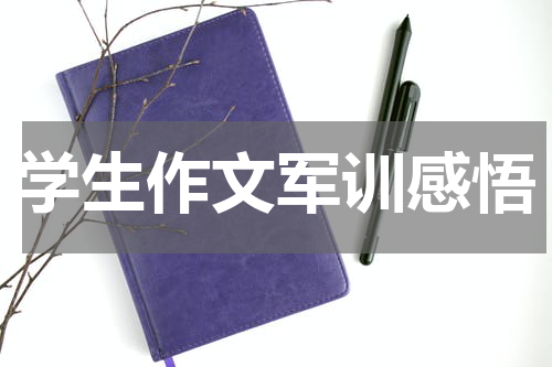 学生作文军训感悟