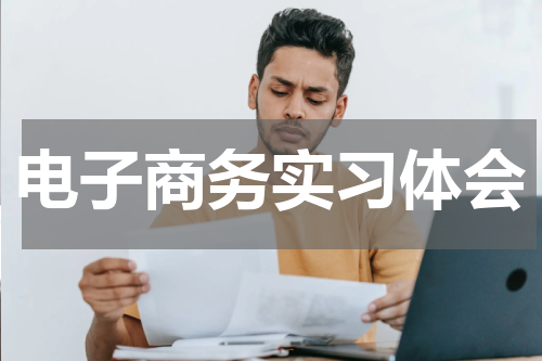 电子商务实习体会