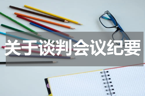 关于谈判会议纪要