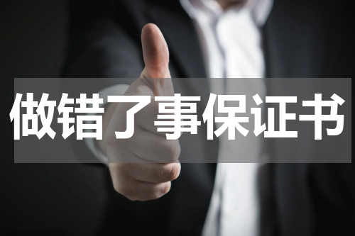 做错了事保证书