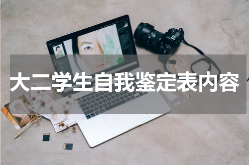 大二学生自我鉴定表内容