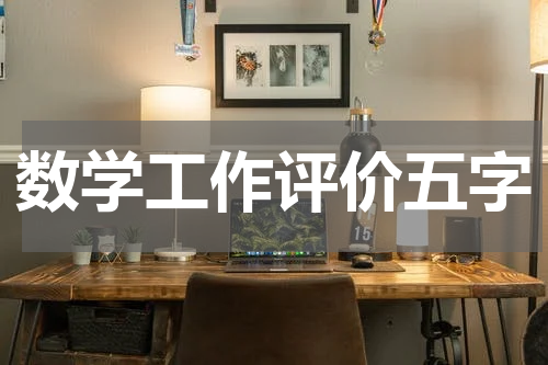 数学工作评价五字