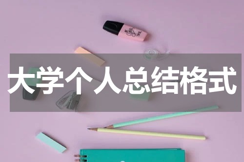 大学个人总结格式