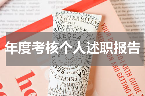 年度考核个人述职报告