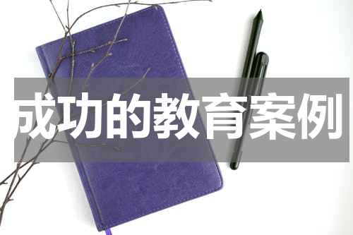 成功的教育案例