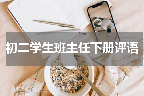 初二学生班主任下册评语