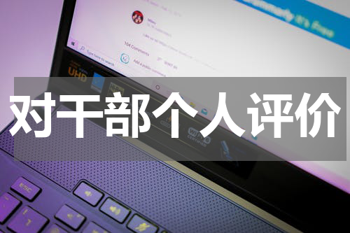 对干部个人评价