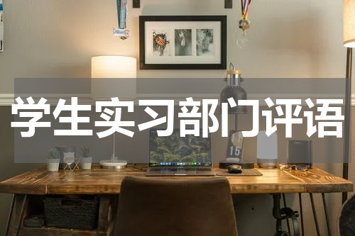 学生实习部门评语