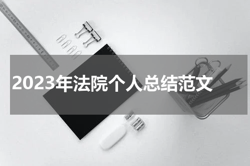 2023年法院个人总结范文