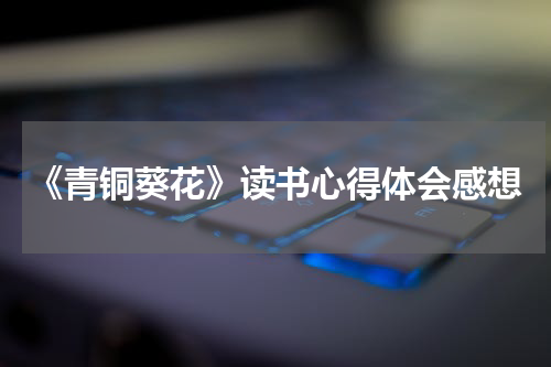 《青铜葵花》读书心得体会感想