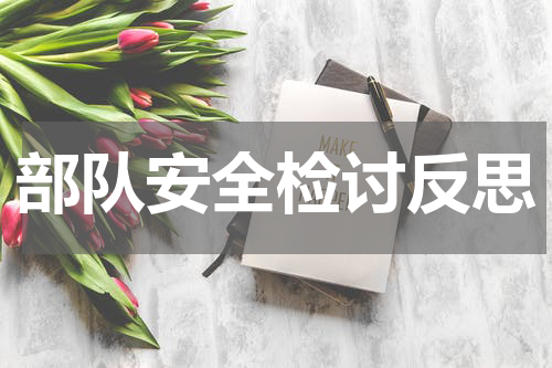 部队安全检讨反思