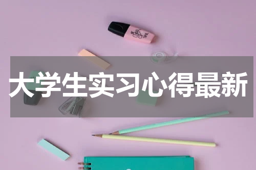 大学生实习心得最新