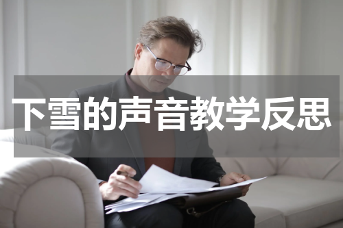 下雪的声音教学反思