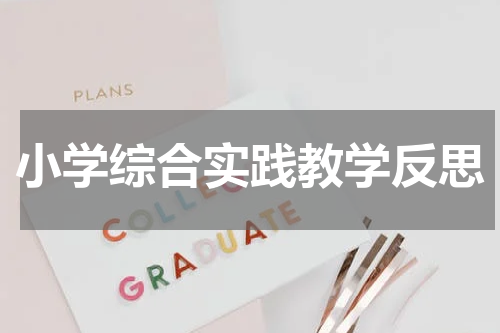 小学综合实践教学反思