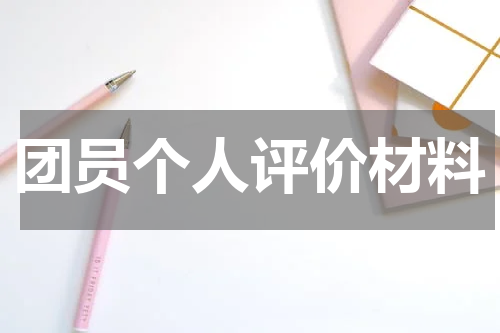 团员个人评价材料