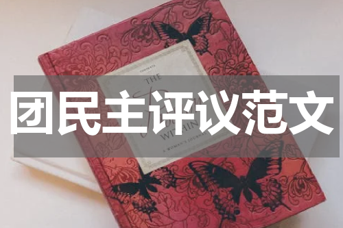 团民主评议范文