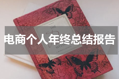 电商个人年终总结报告