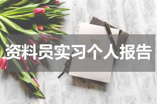 资料员实习个人报告