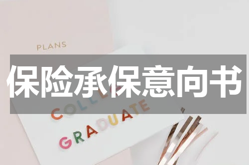 保险承保意向书