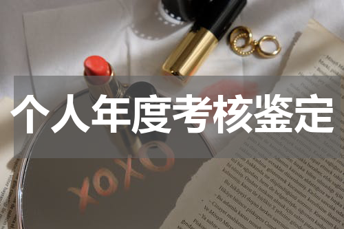 个人年度考核鉴定