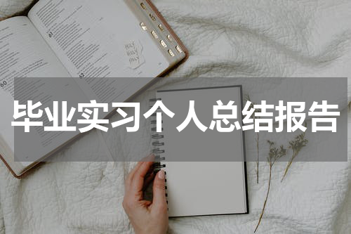 毕业实习个人总结报告
