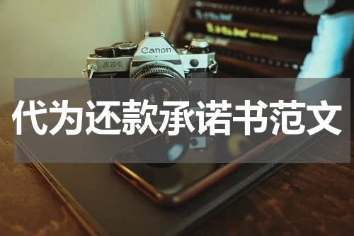 代为还款承诺书范文