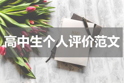 高中生个人评价范文