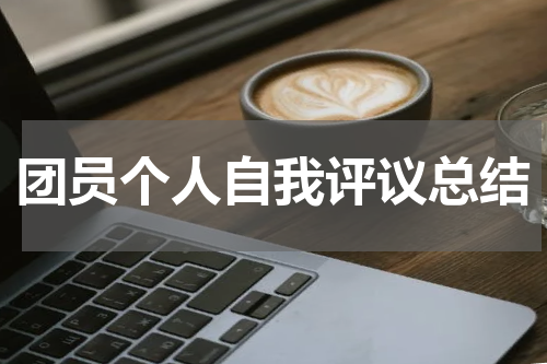 团员个人自我评议总结