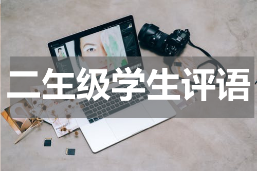 二玍级学生评语