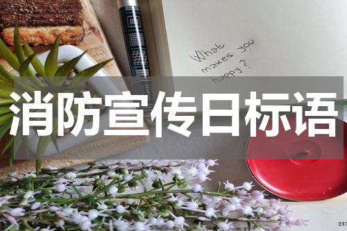 消防宣传日标语