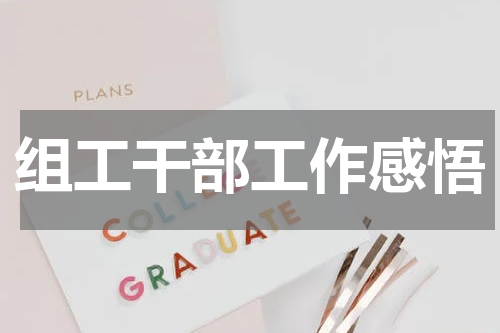 组工干部工作感悟