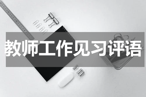 教师工作见习评语