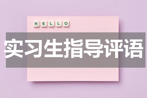 实习生指导评语