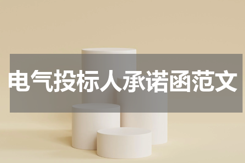 电气投标人承诺函范文