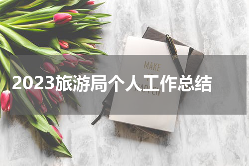 2023旅游局个人工作总结