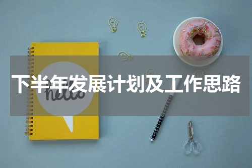 下半年发展计划及工作思路