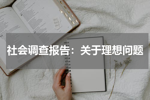 社会调查报告:关于理想问题
