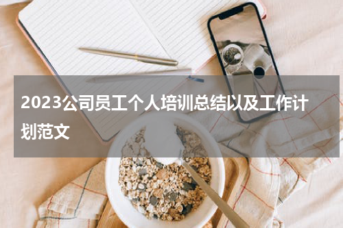 2023公司员工个人培训总结以及工作计划范文