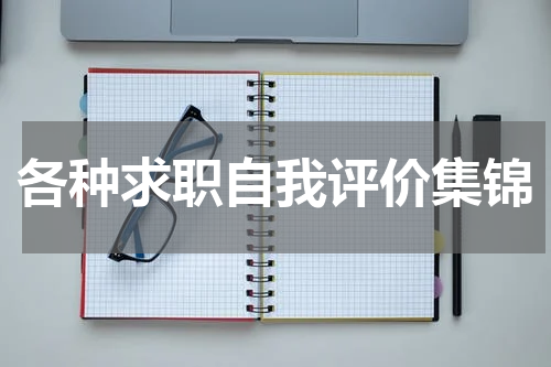 各种求职自我评价集锦