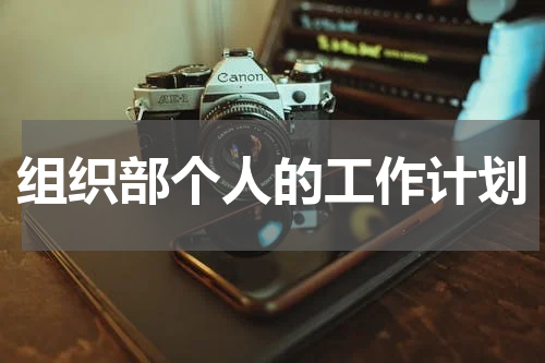 组织部个人的工作计划