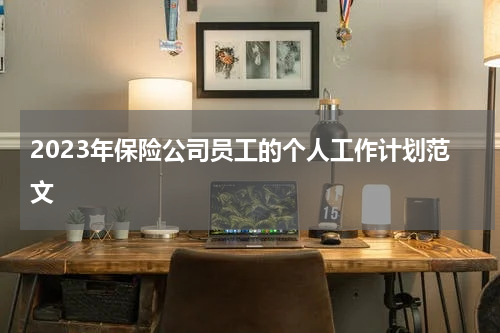2023年保险公司员工的个人工作计划范文