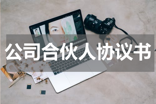 公司合伙人协议书