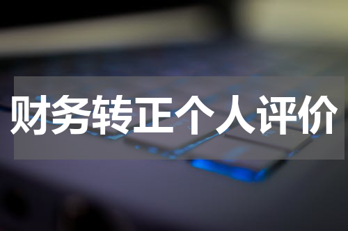 财务转正个人评价