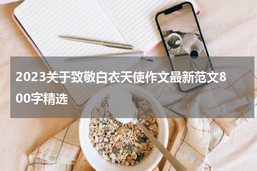 2023关于致敬白衣天使作文最新范文800字精选