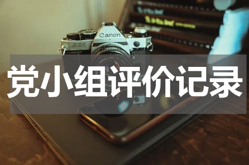 党小组评价记录