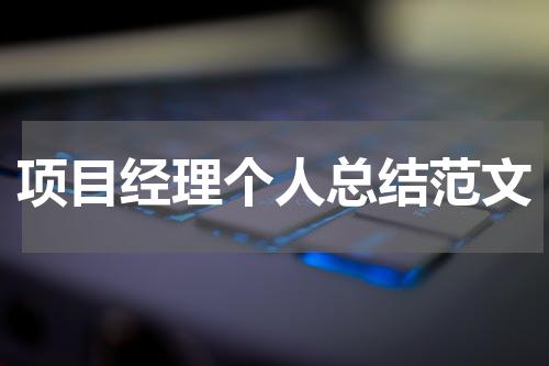 项目经理个人总结范文