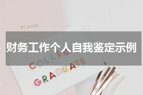 财务工作个人自我鉴定示例
