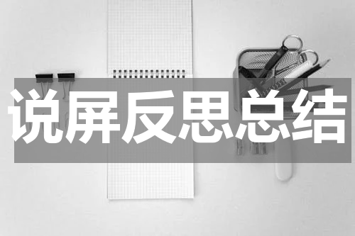 说屏反思总结