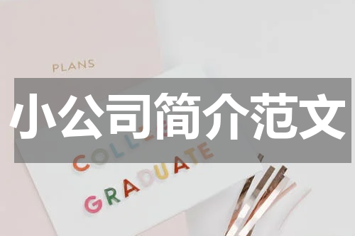 小公司简介范文